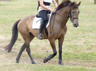  Subir a caballo en Burdeos